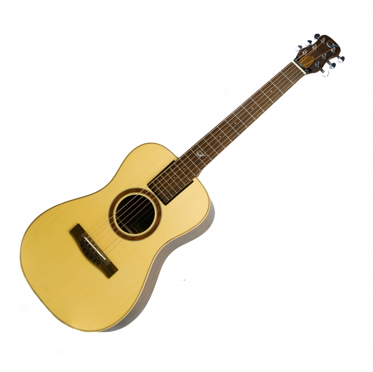 Road Trip Carbon Fiber RT660M Journey Instruments Travel Guitars